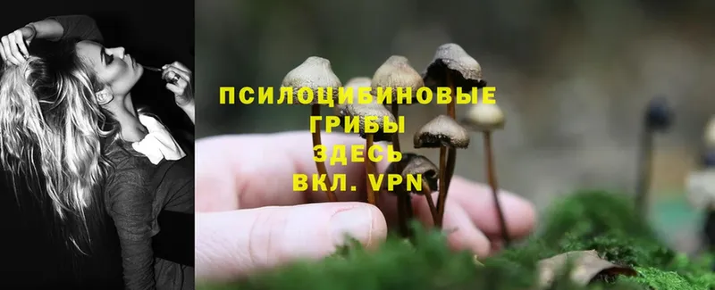 Галлюциногенные грибы Psilocybine cubensis  дарнет шоп  кракен как зайти  Соликамск 